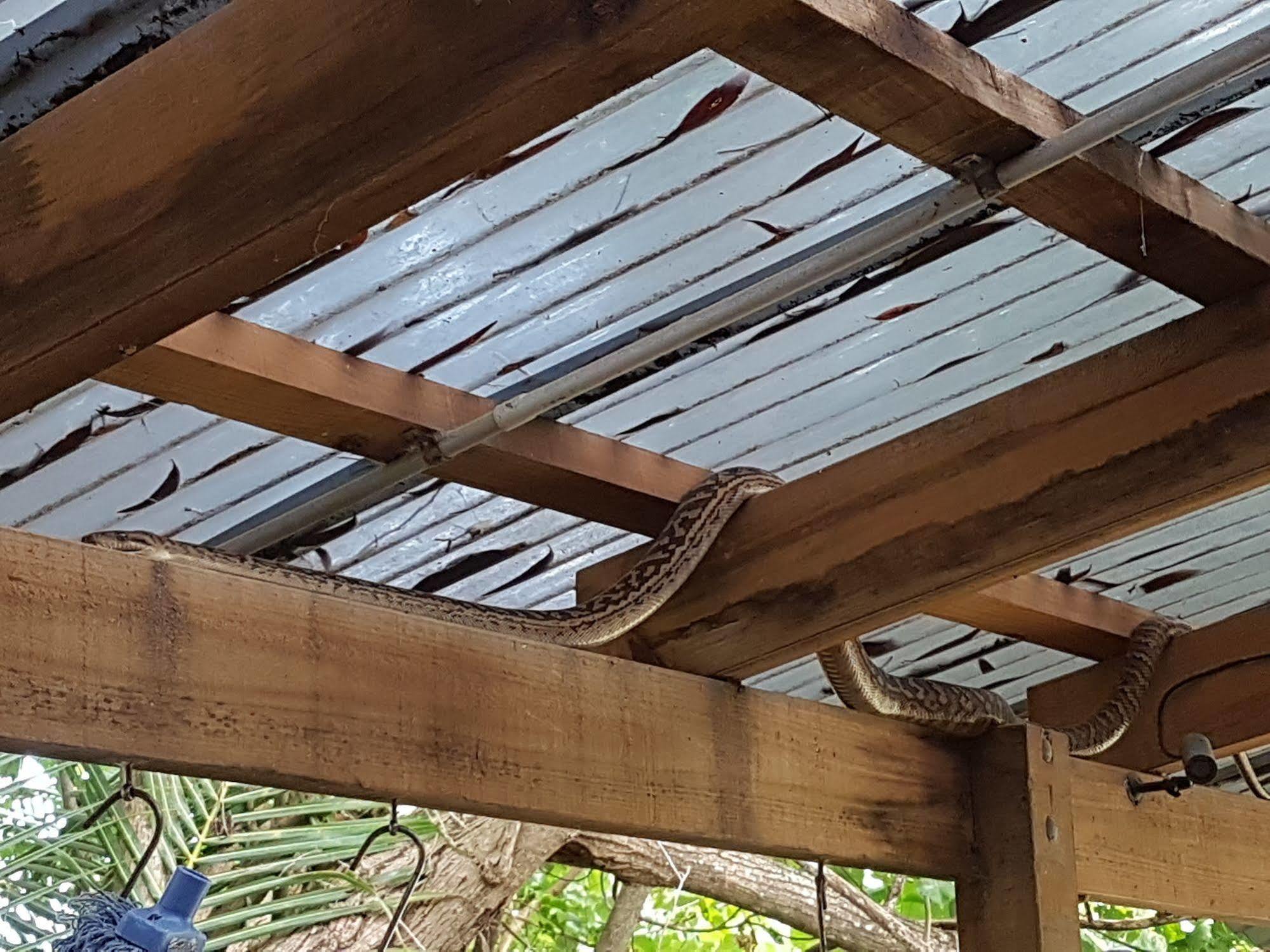 Coral Beach Lodge 道格拉斯港 外观 照片